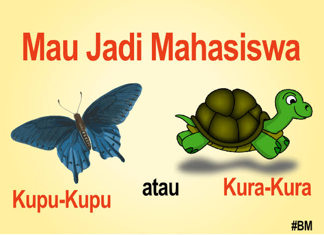 Tips Bergaul Dengan Mahasiswa Kupu Kupu Dan Kura Kura
