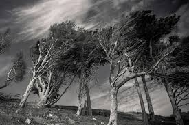 Fenomena Misterius Paling Mengejutkan yang Bikin Ilmuwan Geleng Kepala